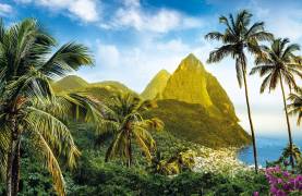 Palm trees and mountains