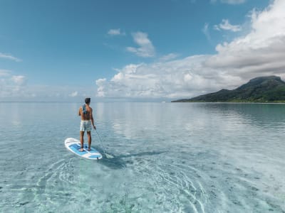 Tahiti Paddleboard.