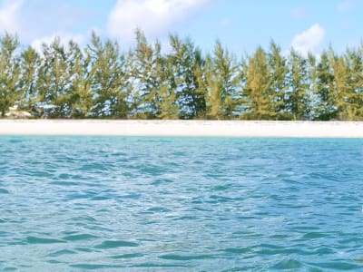 Summer Sailing Offer