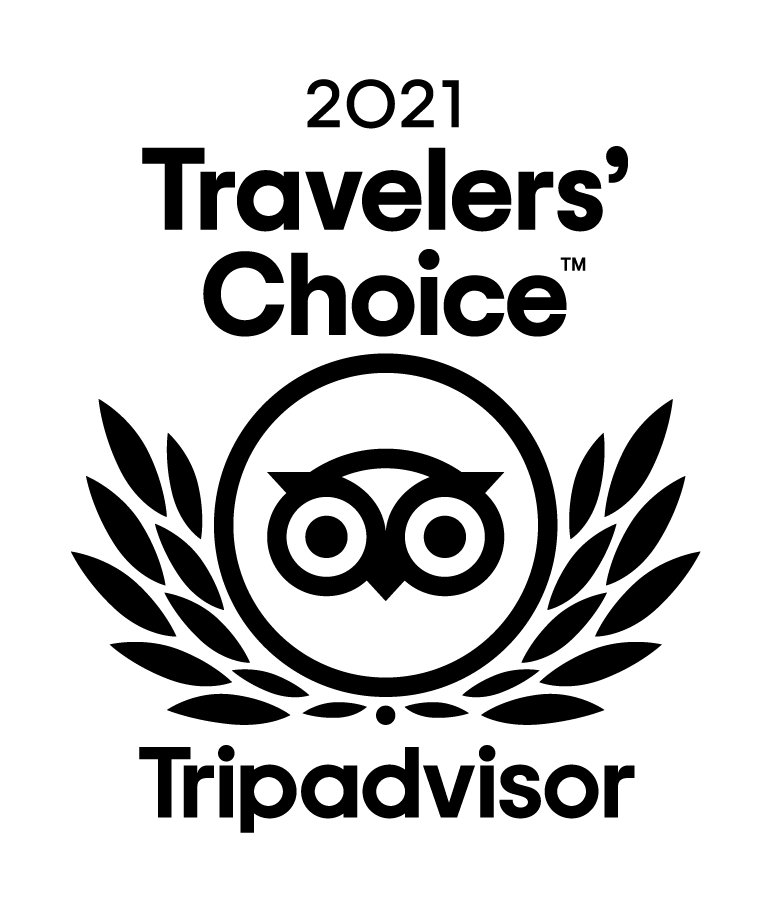 2021 Travelers Choice award